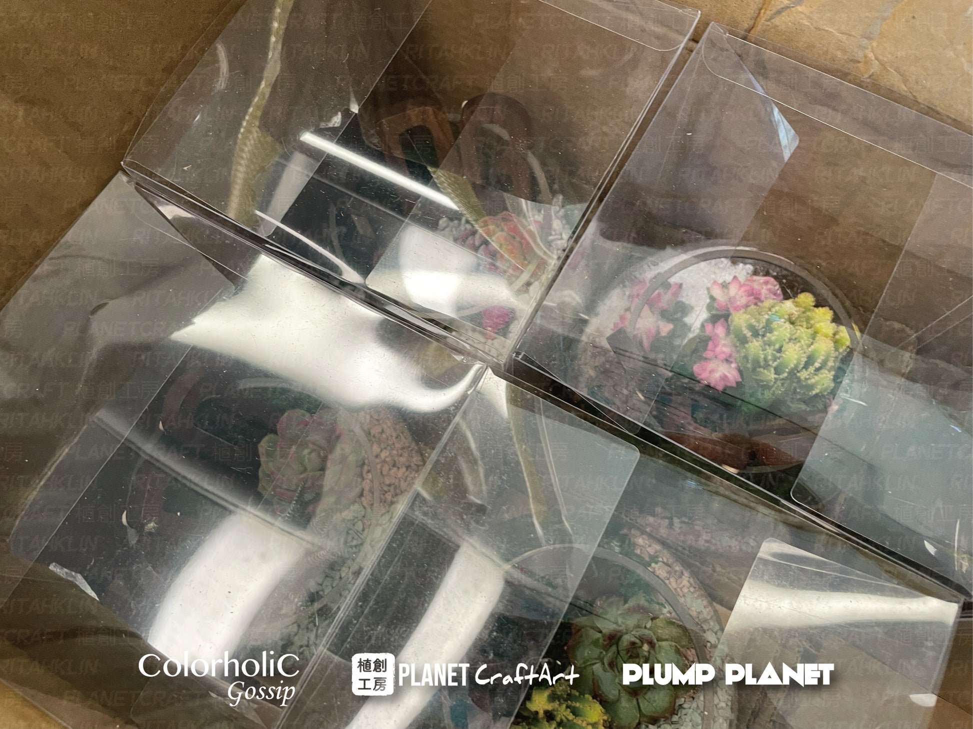 客制化木製字母玻璃多肉植物盆景 (企業活動禮品定制)