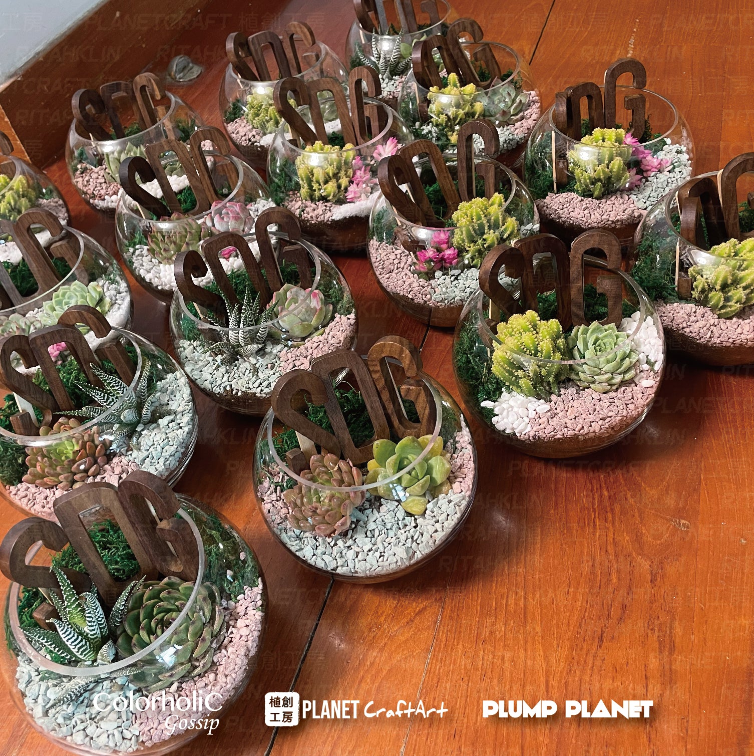 客制化木製字母玻璃多肉植物盆景 (企業活動禮品定制)