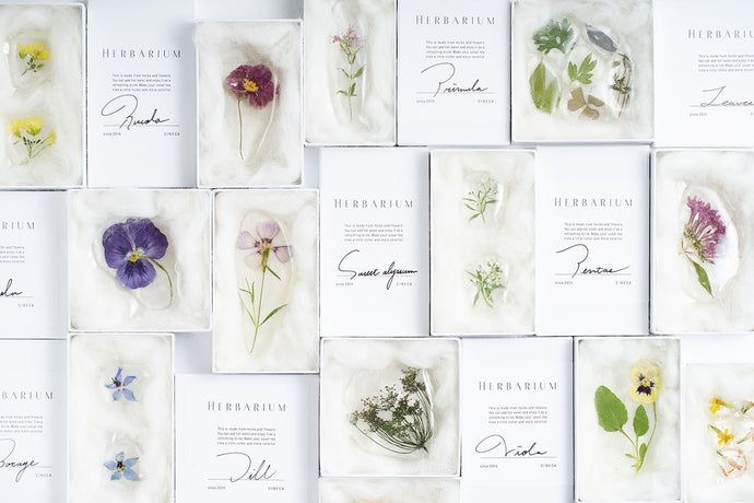 Designer turns to sell sweets, Tokyo cineca studio creates herbarium candy, gingerbread palette