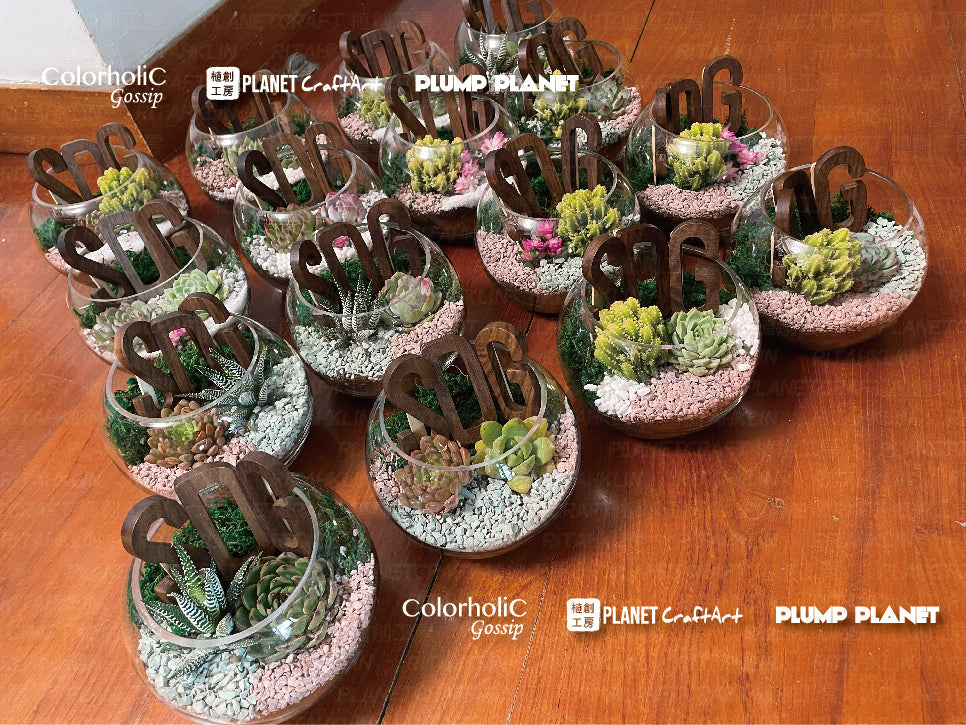 木製字母禮品定制 Wooden Glass Bonsai event customization