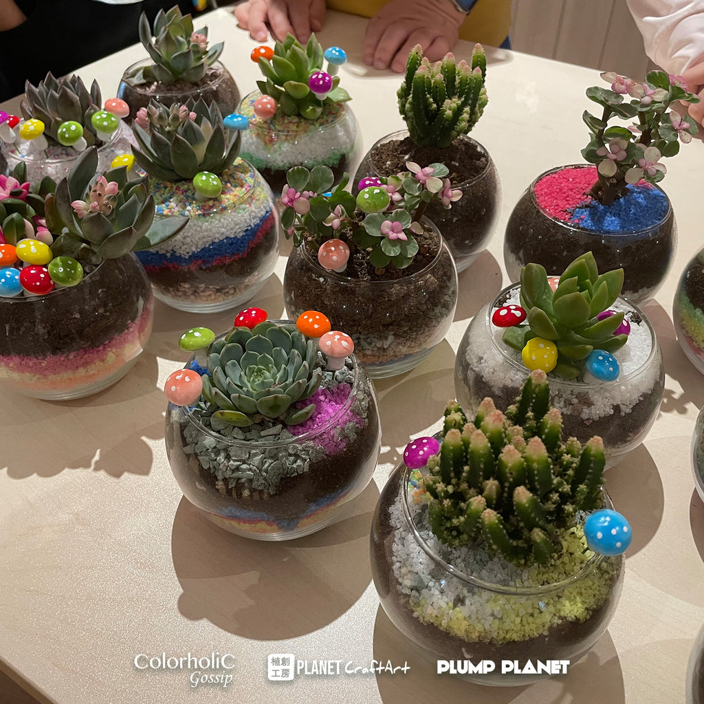 PlanetCraft Succulent Glass Bonsai Experience