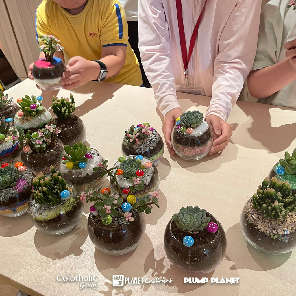PlanetCraft Succulent Glass Bonsai Experience