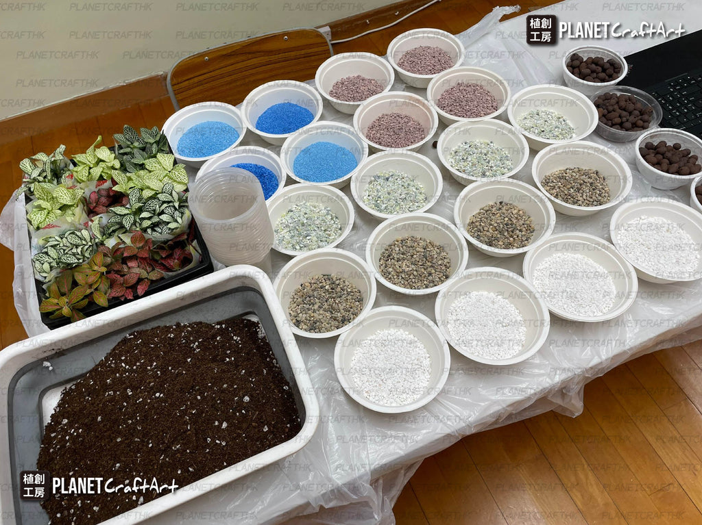PlanetCraft 苔蘚盆景生態工作坊  (上門/外展活動定制/體驗工作坊)