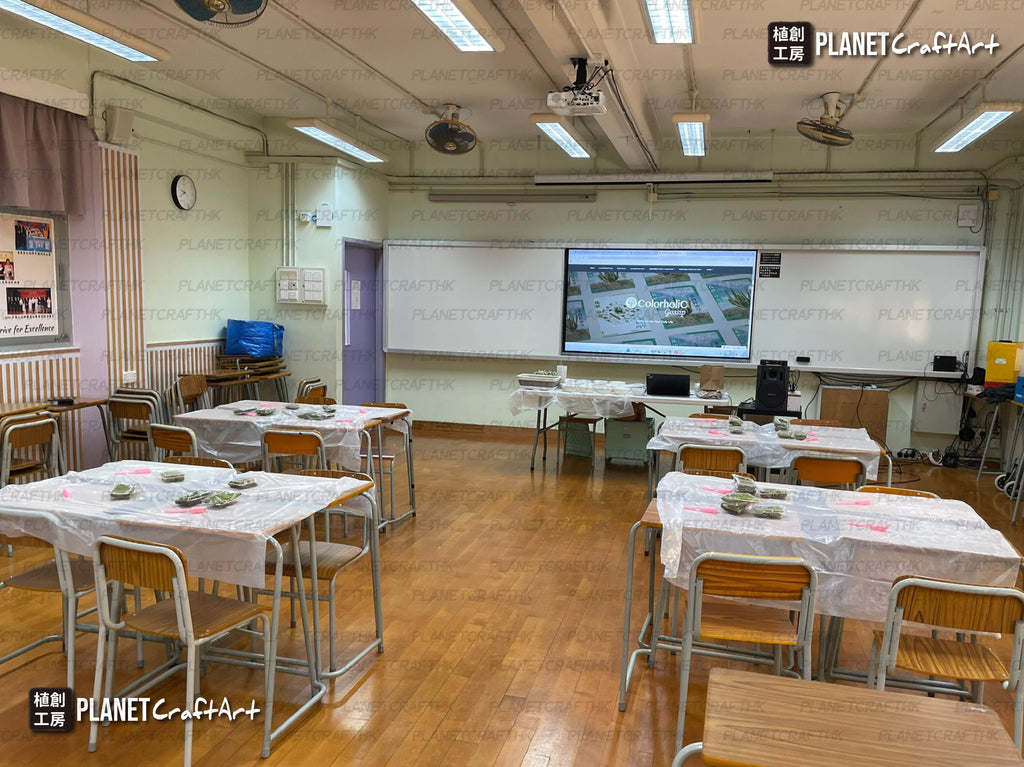 PlanetCraft 苔蘚盆景生態工作坊  (上門/外展活動定制/體驗工作坊)