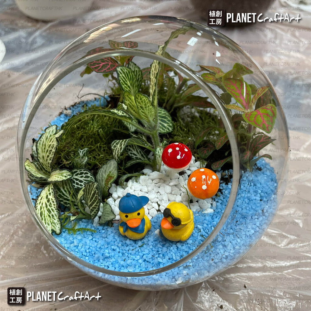 PlanetCraft 苔蘚盆景生態工作坊  (上門/外展活動定制/體驗工作坊)