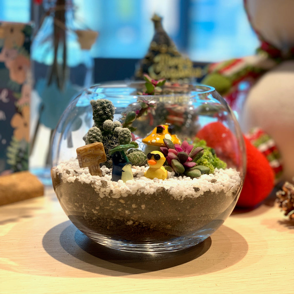 PlanetCraft 多肉玻璃盆景體驗 (上門/外展活動定制/體驗工作坊)