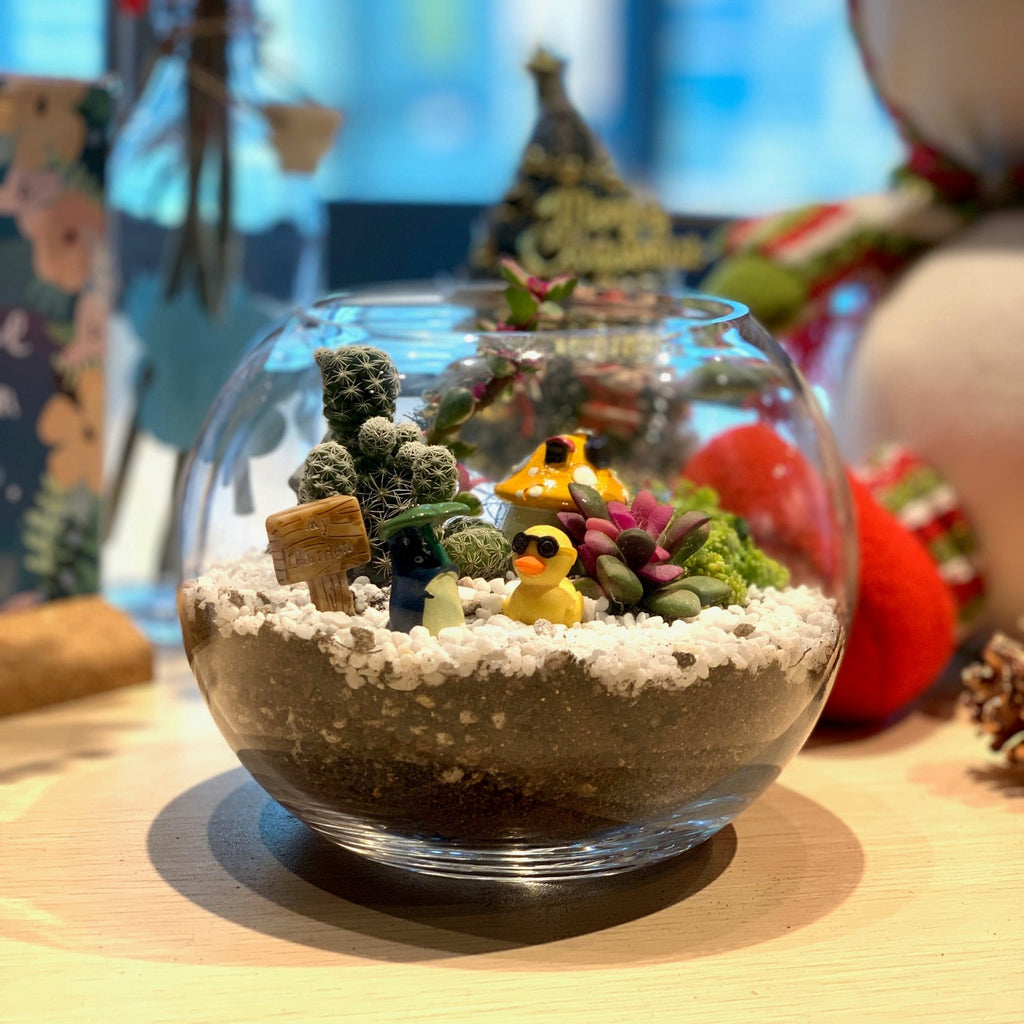 PlanetCraft 多肉玻璃盆景材料包 (含影片及教學筆記)