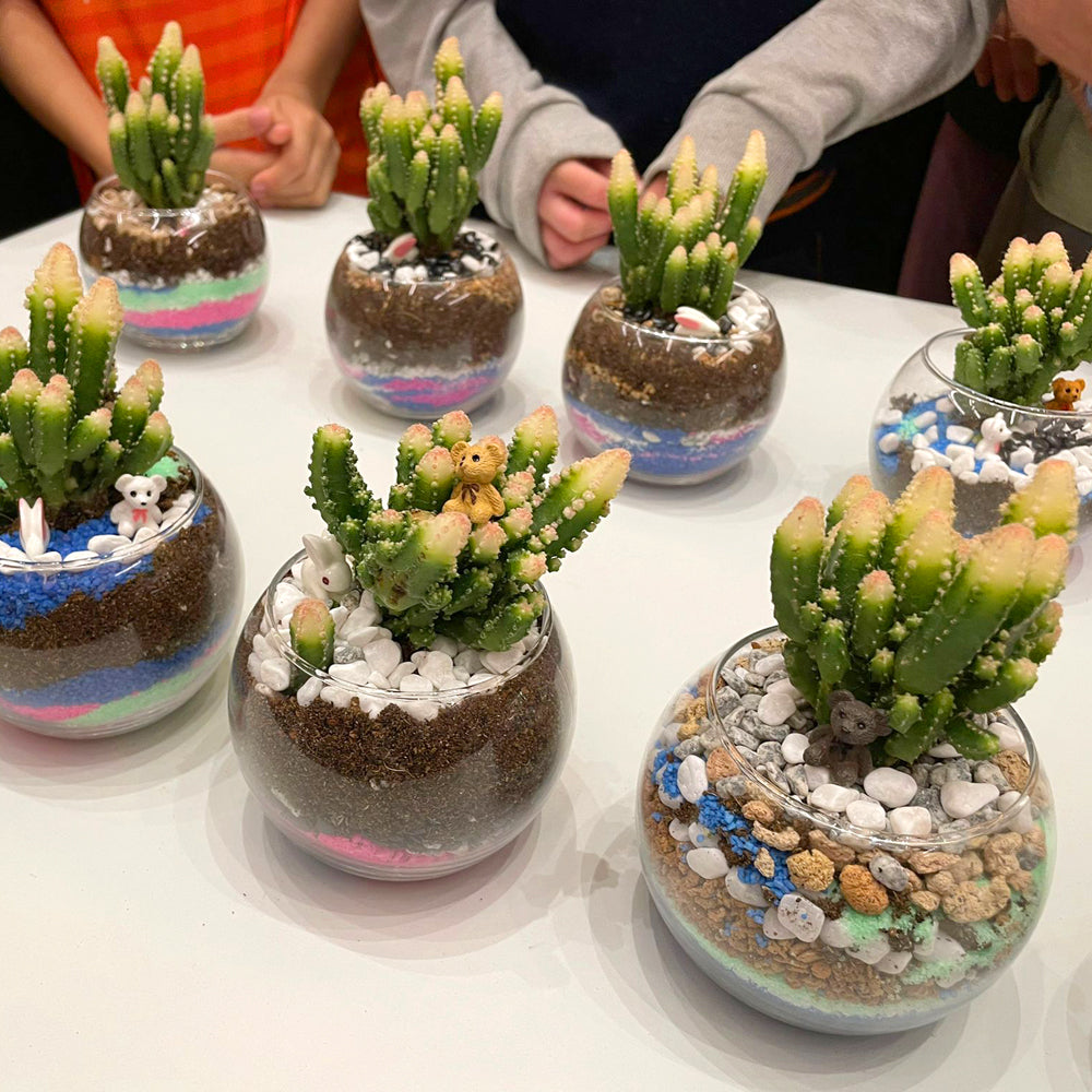 PlanetCraft Succulent Glass Bonsai Experience