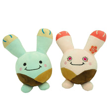 Load image into Gallery viewer, Succulent Little Planet Residents - Biguanghuan Twins (Little Ring)【Plump Planet Friends Fluffy Series】
