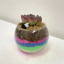 Load image into Gallery viewer, PlanetCraft Succulent Glass Bonsai Experience
