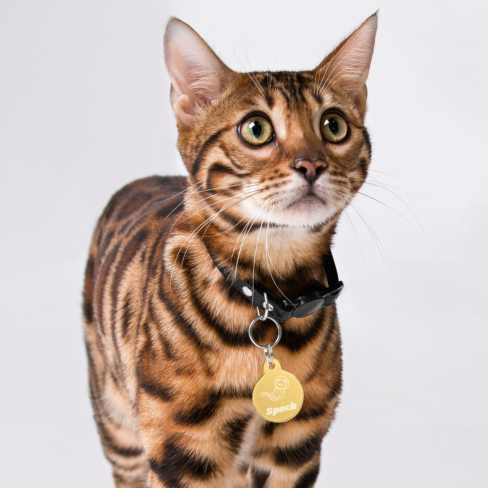 【CatA】客製化雕刻貓貓項圍名牌 Customized Engraved Pet ID tag