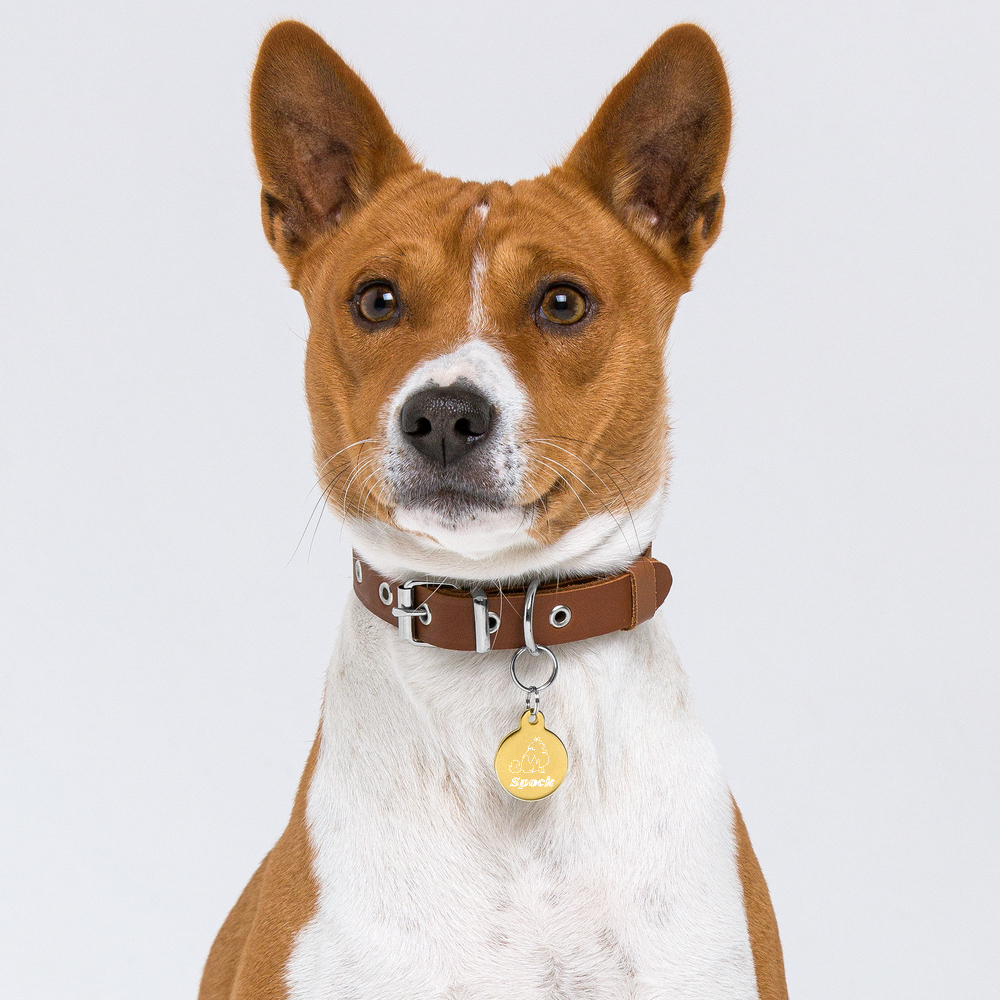 【Dog狗狗】客製化黃銅雕刻項圍名牌 Customized Engraved Pet ID tag