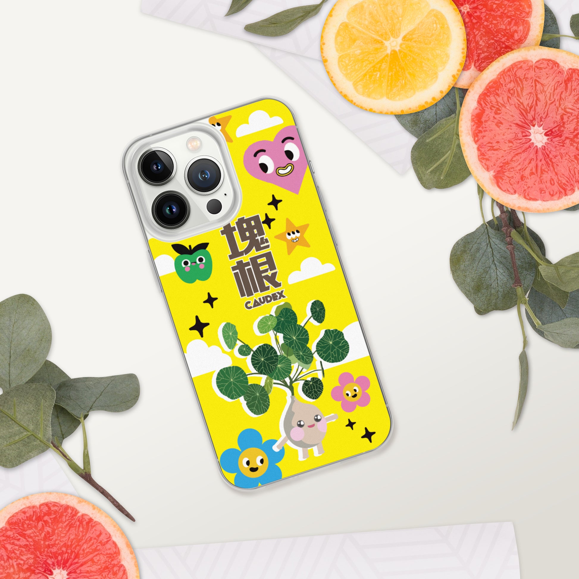 iPhone Case