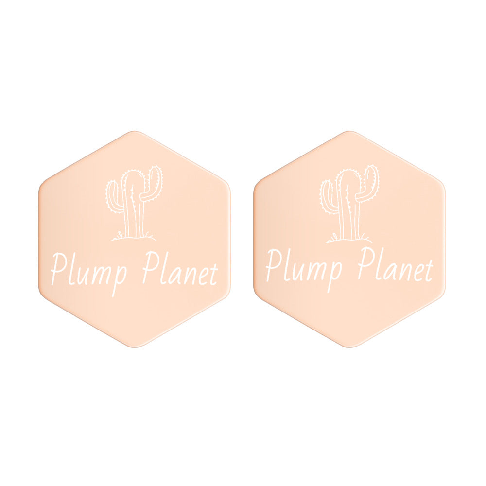 【Free Shipping】Plump Planet Sterling Silver Hexagon Stud Earrings 純銀六邊形蜂巢耳釘耳環
