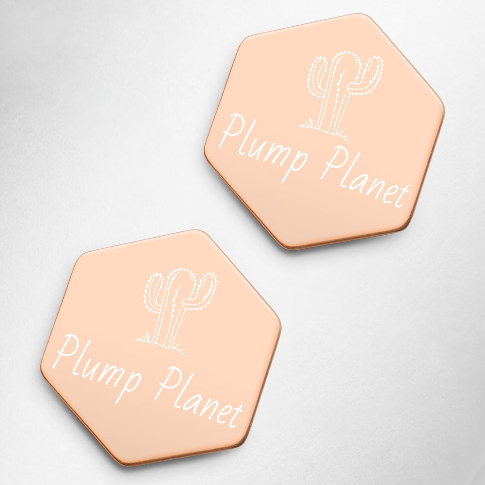 【Free Shipping】Plump Planet Sterling Silver Hexagon Stud Earrings Sterling Silver Hexagon Stud Earrings